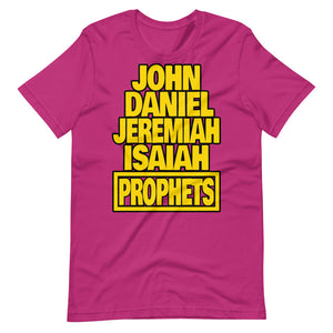 Bible Prophets