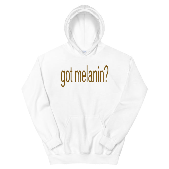 Got Melanin? Hoodie