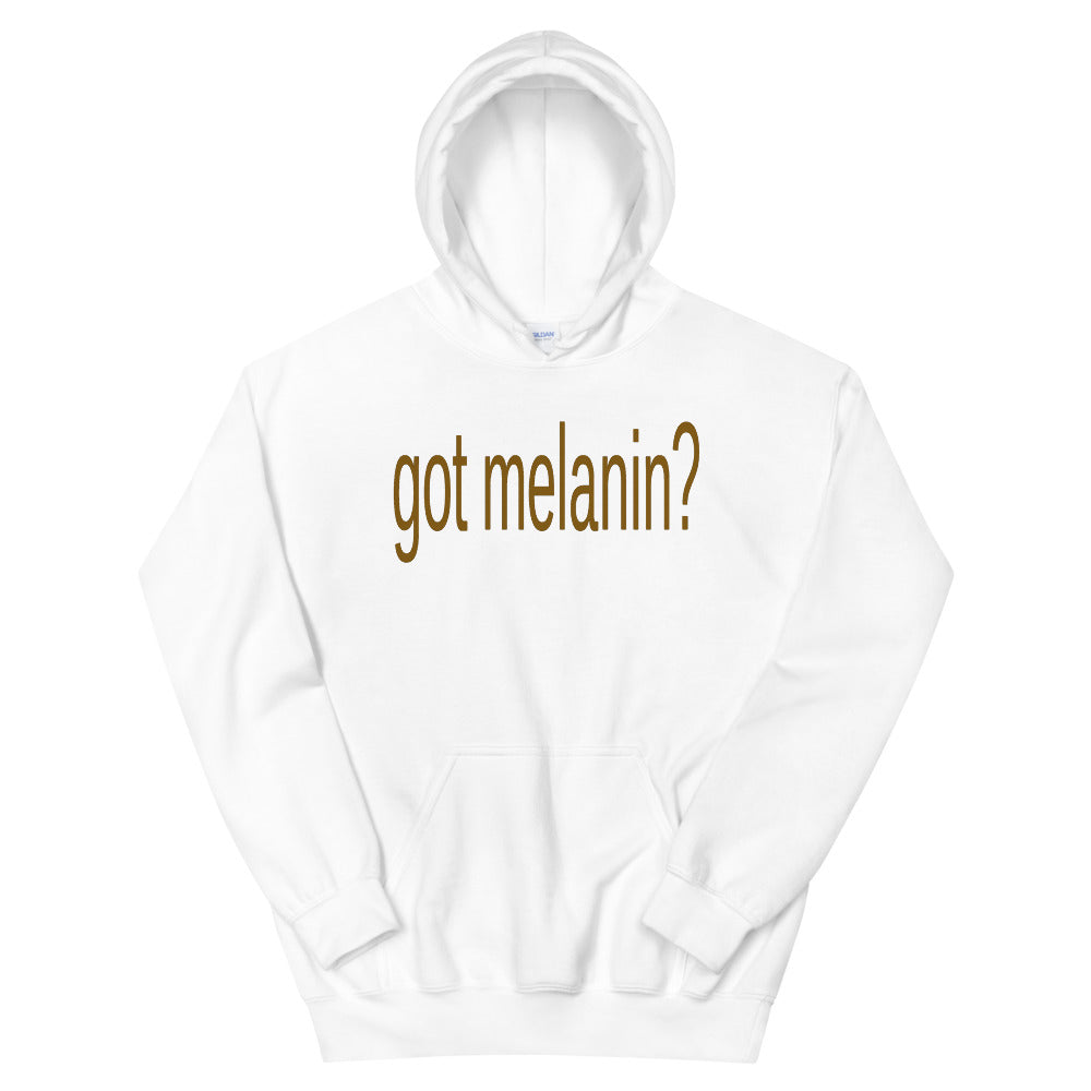 Got Melanin? Hoodie